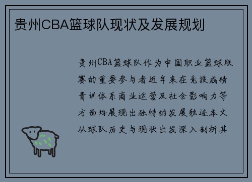 贵州CBA篮球队现状及发展规划